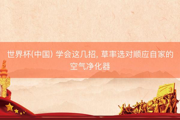 世界杯(中国) 学会这几招， 草率选对顺应自家的空气净化器