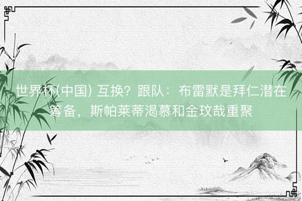世界杯(中国) 互换？跟队：布雷默是拜仁潜在筹备，斯帕莱蒂渴慕和金玟哉重聚