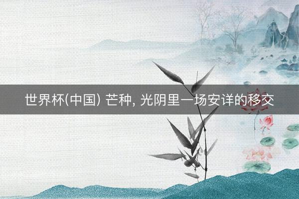 世界杯(中国) 芒种, 光阴里一场安详的移交