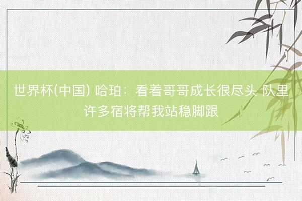 世界杯(中国) 哈珀:看着哥哥成长很尽头 队里许多宿将帮我站稳脚跟