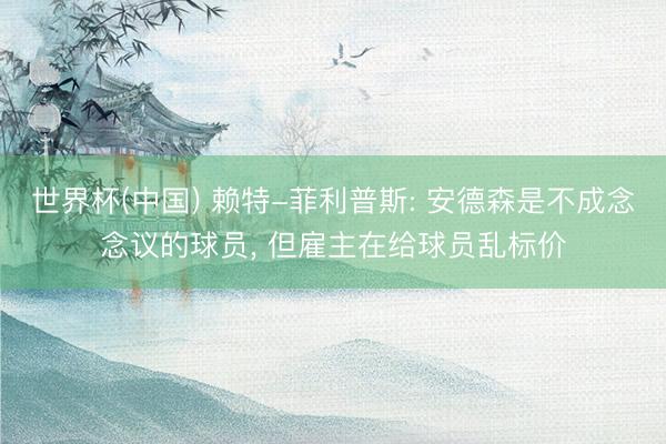 世界杯(中国) 赖特-菲利普斯: 安德森是不成念念议的球员， 但雇主在给球员乱标价