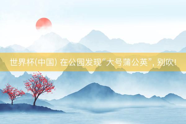 世界杯(中国) 在公园发现“大号蒲公英”， 别吹!