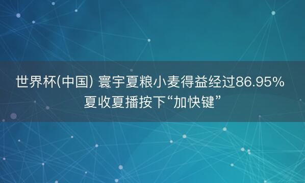 世界杯(中国) 寰宇夏粮小麦得益经过86.95% 夏收夏播按下“加快键”