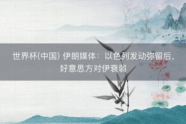 世界杯(中国) 伊朗媒体：以色列发动弥留后，好意思方对伊衰弱