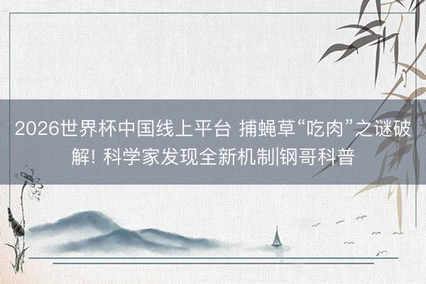 2026世界杯中国线上平台 捕蝇草“吃肉”之谜破解! 科学家发现全新机制|钢哥科普